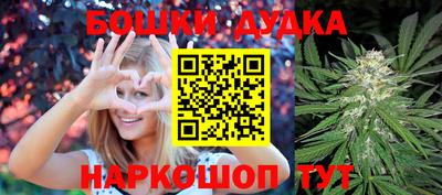 сатива Краснодар