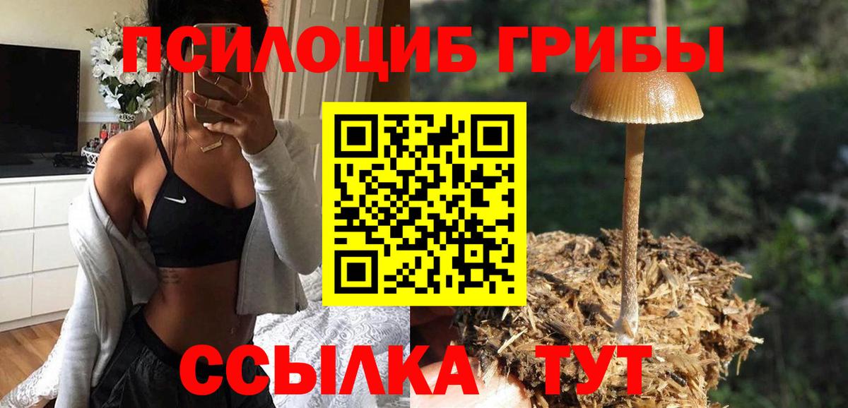 Галлюциногенные грибы ЛСД  Галлюциногенные грибы MAGIC MUSHROOMS  Комсомольск-на-Амуре  Вход с VPN 